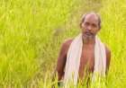 मुख्यमंत्री श्री विष्णु देव साय के नेतृत्व में किसानों की आय बढ़ाने और खेती को लाभकारी बनाने की दिशा में हो रहे निरंतर प्रयास