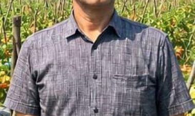 उन्नत टमाटर की खेती से शाहिद की मेहनत लाई रंग, 2 एकड़ में कमाए 1.20 लाख रुपये