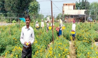 फ्लोरीकल्चर हब प्रोत्साहन योजना से घनश्याम साहू की खेती को मिली नई दिशा