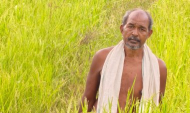 मुख्यमंत्री श्री विष्णु देव साय के नेतृत्व में किसानों की आय बढ़ाने और खेती को लाभकारी बनाने की दिशा में हो रहे निरंतर प्रयास