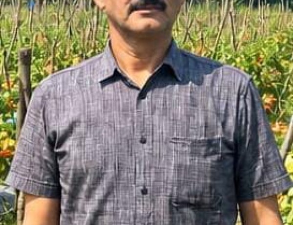 उन्नत टमाटर की खेती से शाहिद की मेहनत लाई रंग, 2 एकड़ में कमाए 1.20 लाख रुपये