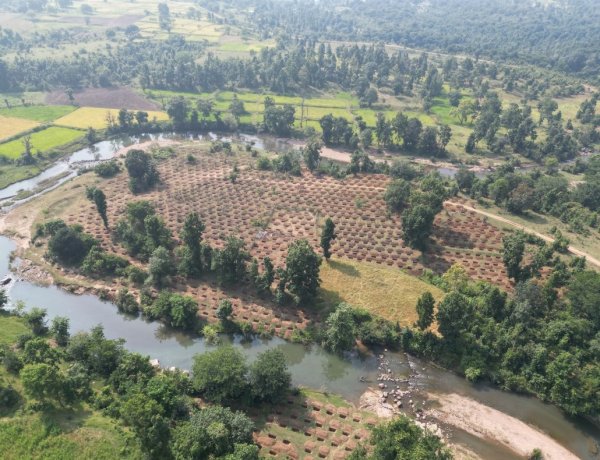 मरवाही के डोंगरी टोला में निर्मित 3 हजार कंटूर ट्रेंच बनेंगे जल संरक्षण का मजबूत आधार, 250 परिवारों को मिलेगी राहत