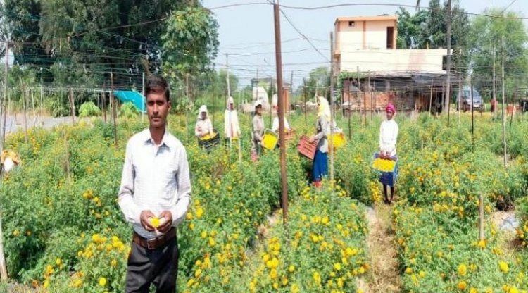 फ्लोरीकल्चर हब प्रोत्साहन योजना से घनश्याम साहू की खेती को मिली नई दिशा