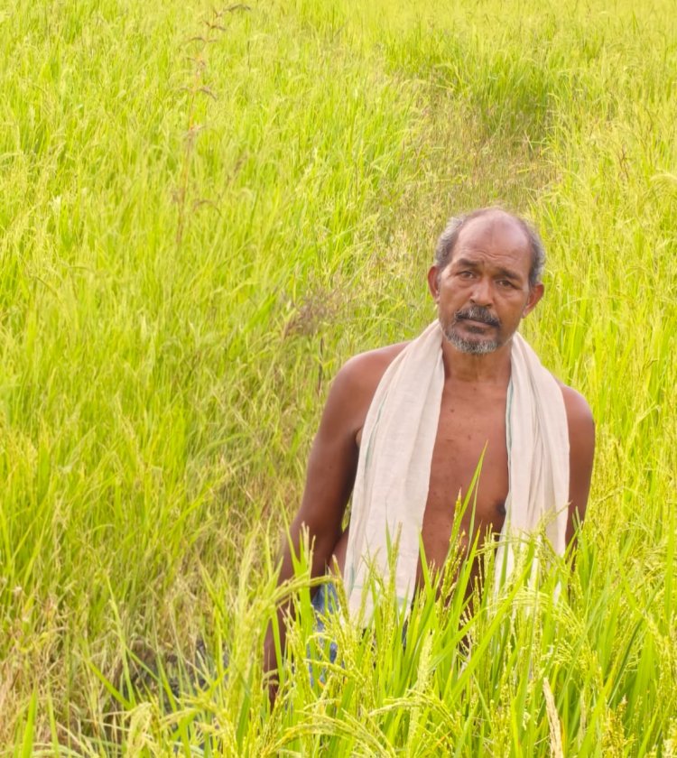 मुख्यमंत्री श्री विष्णु देव साय के नेतृत्व में किसानों की आय बढ़ाने और खेती को लाभकारी बनाने की दिशा में हो रहे निरंतर प्रयास